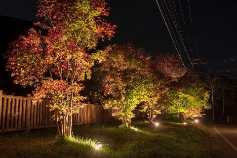 新穂高溫泉 中尾紅葉燈光秀（出典ページの画像）